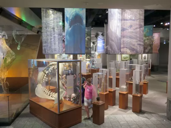 Two beautiful modern buildings full of attractive exhibits including some live animals.