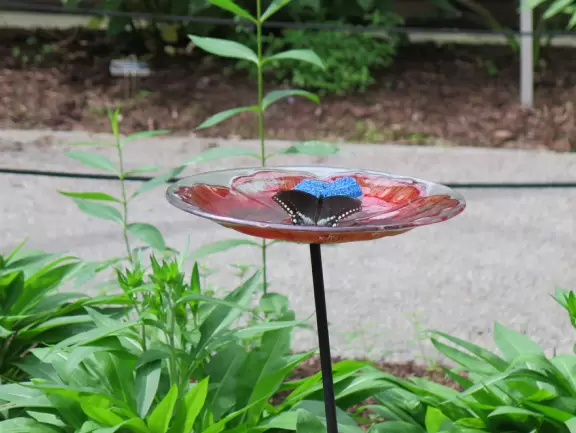 Huge old trees strung with Spanish moss, and cool breezes off the water.