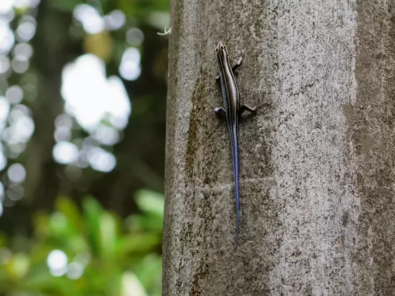 Huge old trees strung with Spanish moss, and cool breezes off the water.