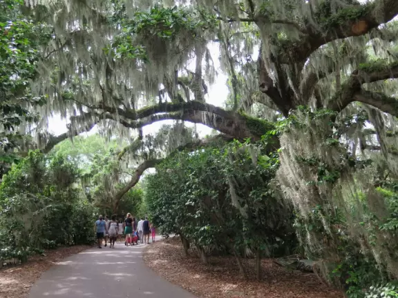 Huge old trees strung with Spanish moss, and cool breezes off the water.