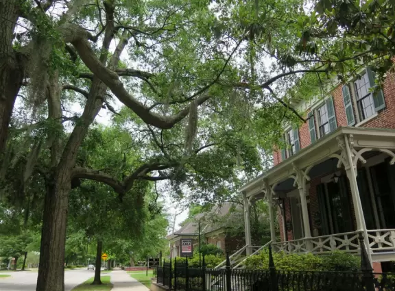Walk Market Street and its side streets to see gorgeous historic mansions and churches.