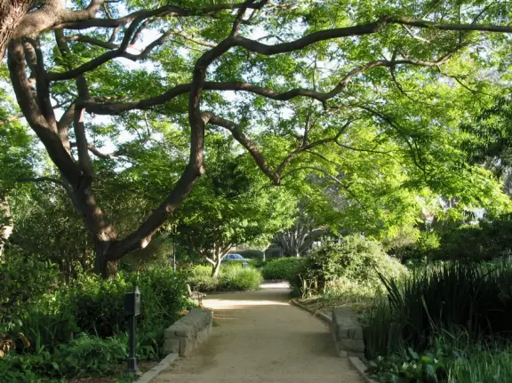 A park of exquisite beauty, with flowering trees and a picnic lawn fronting a pond full of turtles and koi.