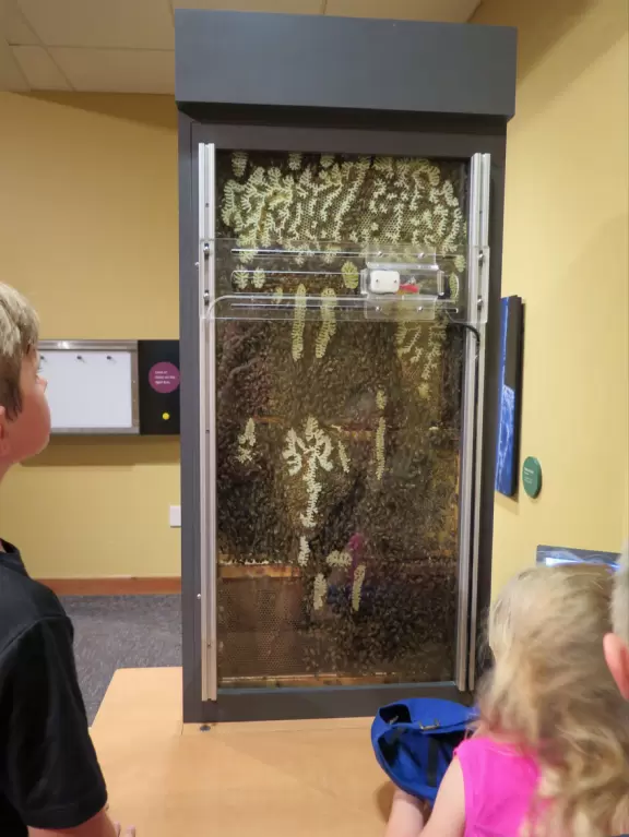 Amazing museum and grounds with so much for kids to do!