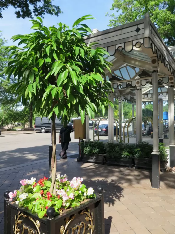 Video with interesting quotes by those who have lived in the White House, and distant view of the south side of the White House from the lawn.