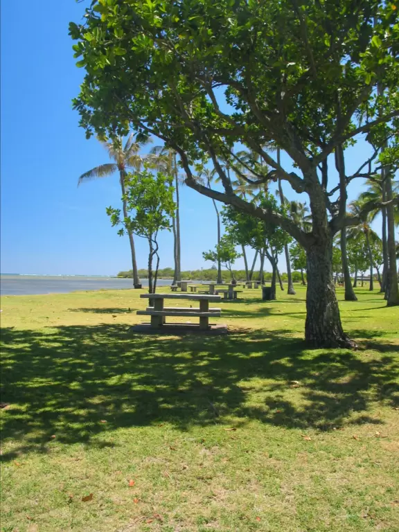 Favorite picnic and party spot for local families. Nice at sunset.