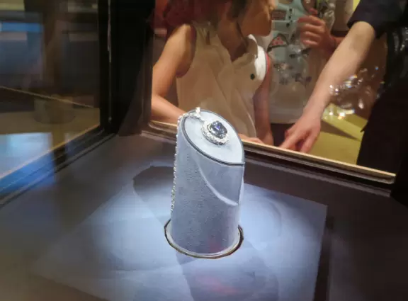 Incredible gems, plus a stuffed elephant and lots of animals, in a gorgeous building.