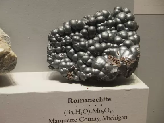 Incredible gems, plus a stuffed elephant and lots of animals, in a gorgeous building.
