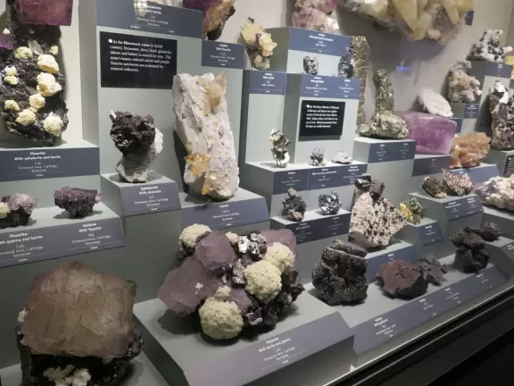 Incredible gems, plus a stuffed elephant and lots of animals, in a gorgeous building.