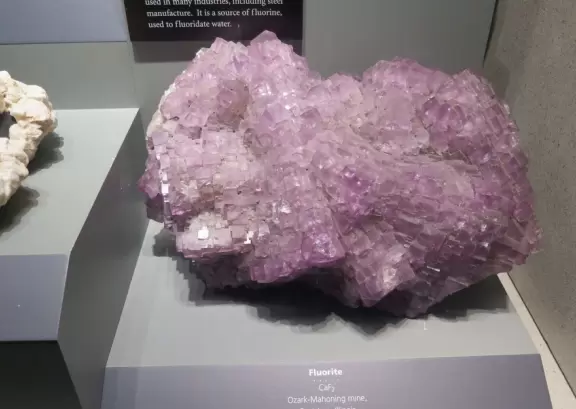 Incredible gems, plus a stuffed elephant and lots of animals, in a gorgeous building.