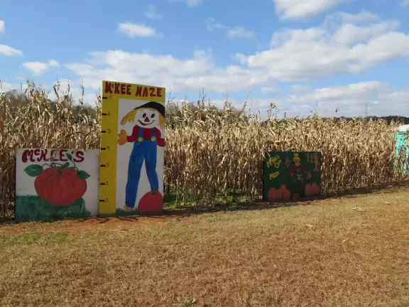 12 acre corn maze, tree swing, hay ride, barrel train ride, cozy coupes, sand pit with tractors, pretend cow milking, goats, donkey, chickens, scarecrows, and pumpkins.