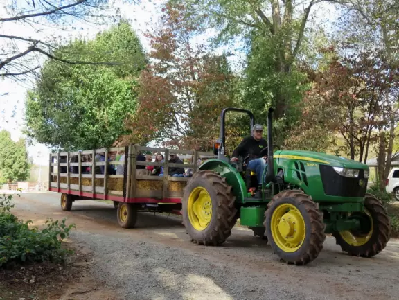 12 acre corn maze, tree swing, hay ride, barrel train ride, cozy coupes, sand pit with tractors, pretend cow milking, goats, donkey, chickens, scarecrows, and pumpkins.