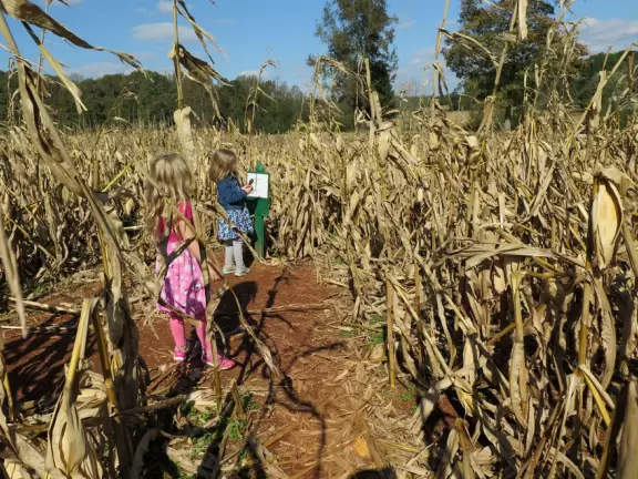 12 acre corn maze, tree swing, hay ride, barrel train ride, cozy coupes, sand pit with tractors, pretend cow milking, goats, donkey, chickens, scarecrows, and pumpkins.