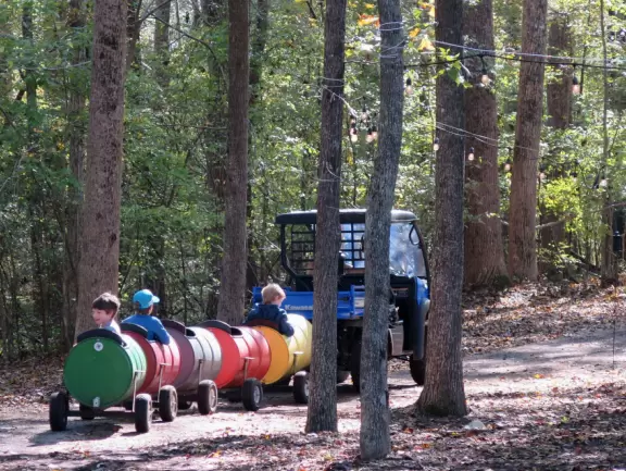 12 acre corn maze, tree swing, hay ride, barrel train ride, cozy coupes, sand pit with tractors, pretend cow milking, goats, donkey, chickens, scarecrows, and pumpkins.