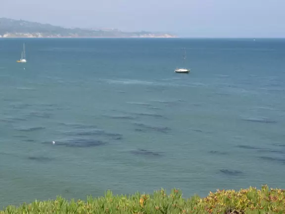 A walk past grassy knolls, a shimmering lagoon, and picturesque bluffs above the ocean, all in the vibrant atmosphere of campus!