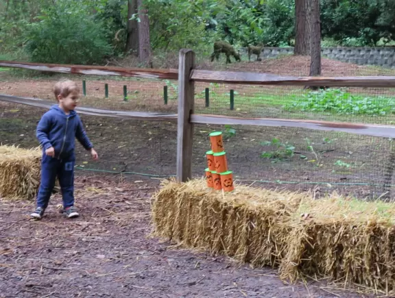 Amazing museum and grounds with so much for kids to do!