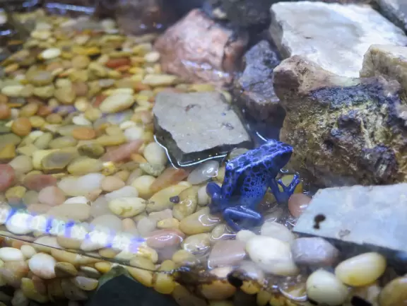 Amazing museum and grounds with so much for kids to do!