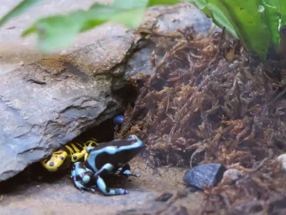 Amazing museum and grounds with so much for kids to do!