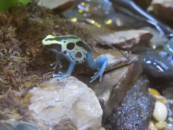 Amazing museum and grounds with so much for kids to do!