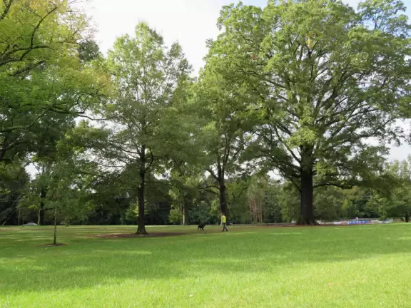 Great place for a walk, with&nbsp;Georgian architecture, busy students, main quad, and trail around the perimeter under gorgeous trees.