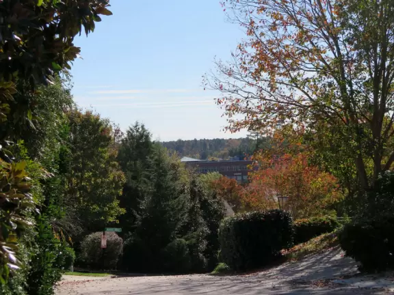Gorgeous one-mile greenway or bike path with shady forest, flowers, little hills, and pond with fountain.