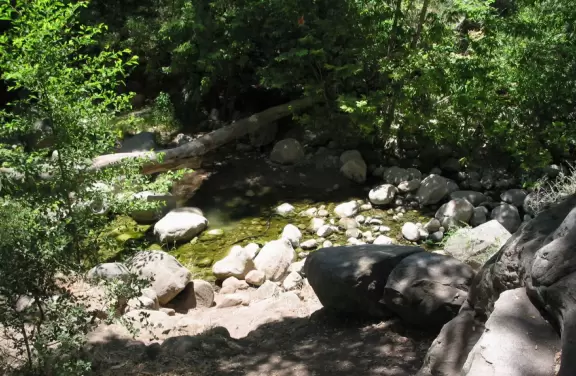 Wooded park with lots of private picnic areas, a playground, a flowing creek, wonderful boulders for kids to climb, and a short hike.