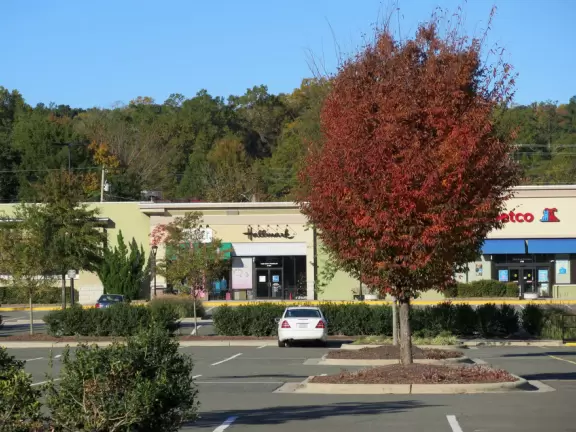 Modern shopping plaza with flower pots, Shake Shack, Trader Joe's, and Clean Juice.