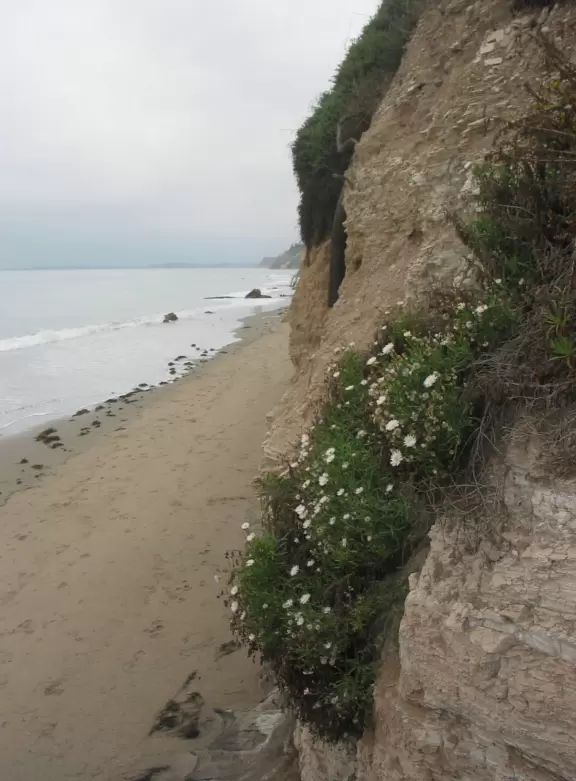 Steep stairs lead down, down, down to a lovely ribbon beach backed by high cliffs.