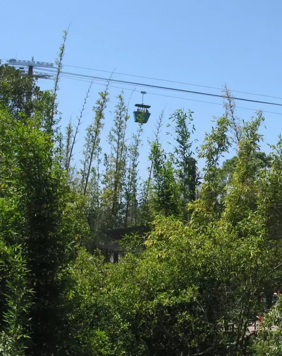 Zoo in a tropical setting with panda bear, polar bear, koalas, kangaroos, and more!