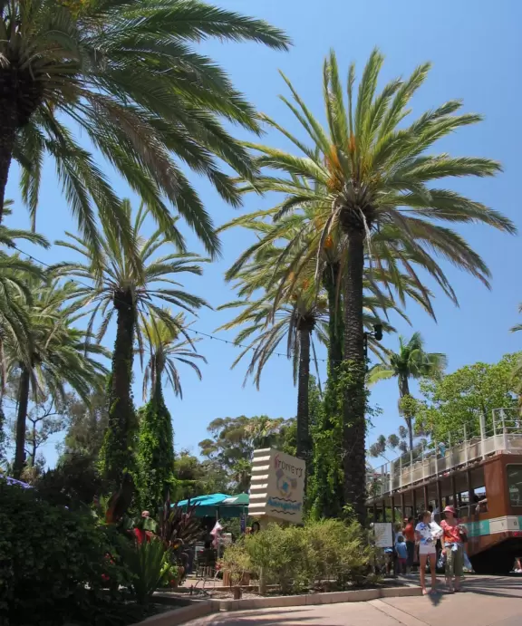 Zoo in a tropical setting with panda bear, polar bear, koalas, kangaroos, and more!