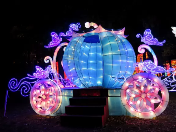 Concerts under the stars with tall pines reaching to the sky.