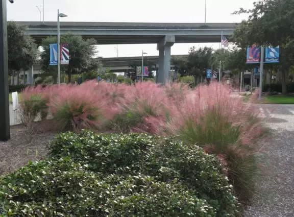 Drive over the gorgeous bridge. Then picnic on the huge lawn and playground, and walk the pier.