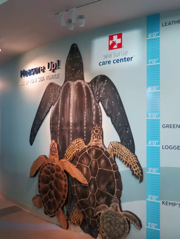 Excellent, but expensive, aquarium.