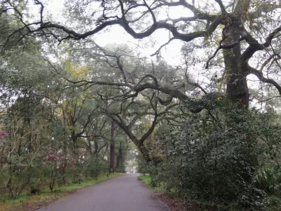 Beautiful place with mansion, lovely gardens on the water, and alligators and birds.