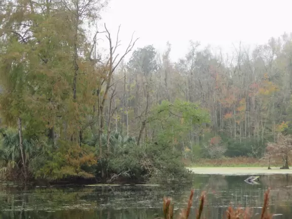 Beautiful place with mansion, lovely gardens on the water, and alligators and birds.