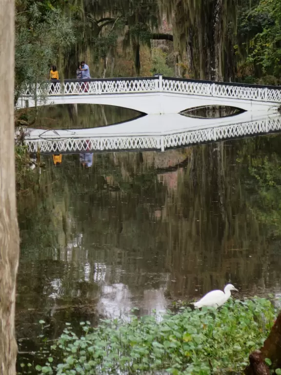 Beautiful place with mansion, lovely gardens on the water, and alligators and birds.