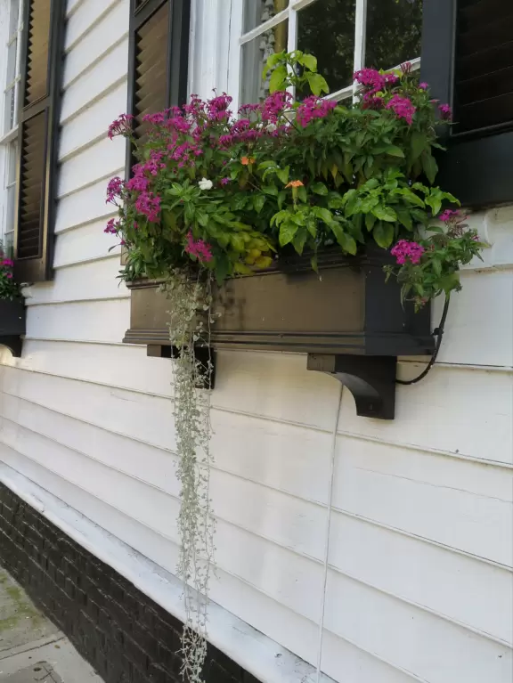 Waterfront town with&nbsp;beautiful harbor and French Quarter (Broad Street).