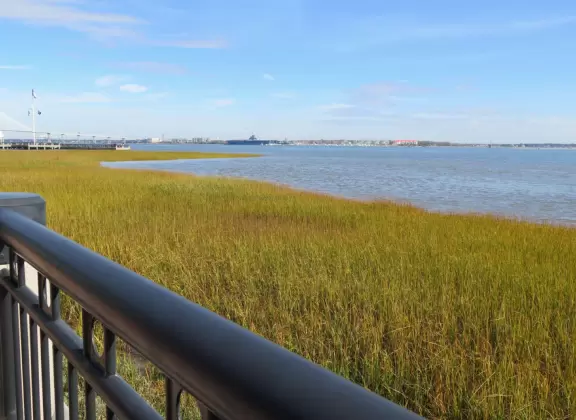 Gorgeous spot on the water. Come for a stroll or to swing on the porch swings.