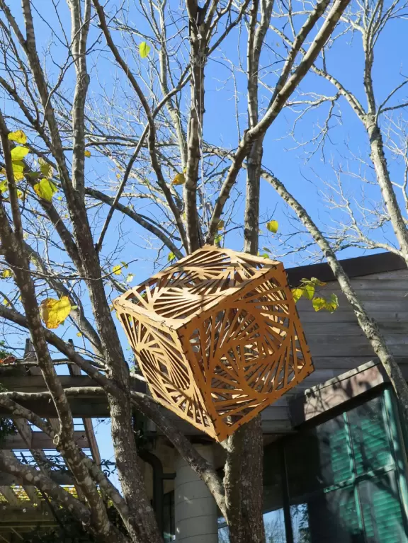 Beautiful plantings with huge flowers and large splashes of color!