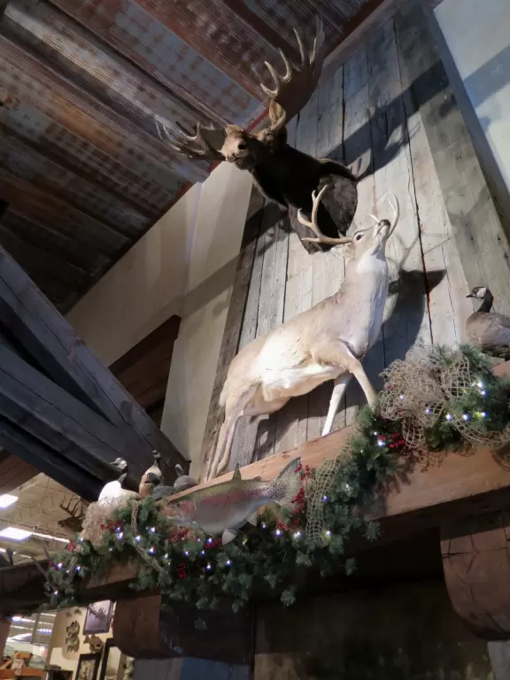 Fun shop with aquarium and animals, especially nice at Christmastime or when they have a kids activity.