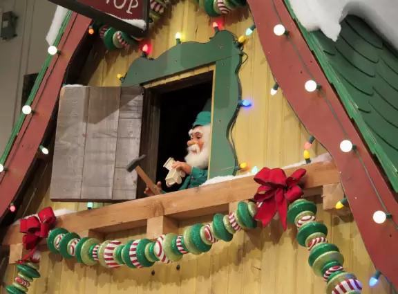 Fun shop with aquarium and animals, especially nice at Christmastime or when they have a kids activity.