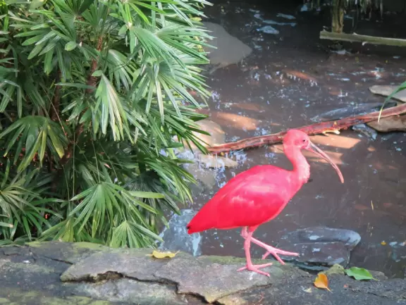 <p>Fantastic zoo with active animals and lots to do!</p>