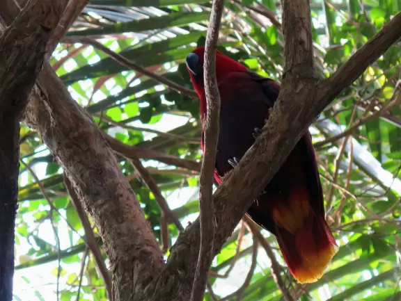 <p>Fantastic zoo with active animals and lots to do!</p>