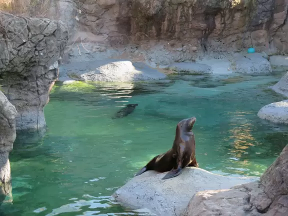 <p>Fantastic zoo with active animals and lots to do!</p>