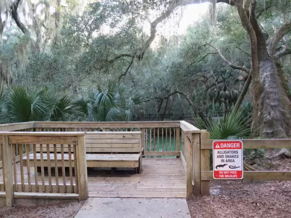 A beautiful park with&nbsp; jungly trees and a milky green spring to view. Amazing drive along the water too.