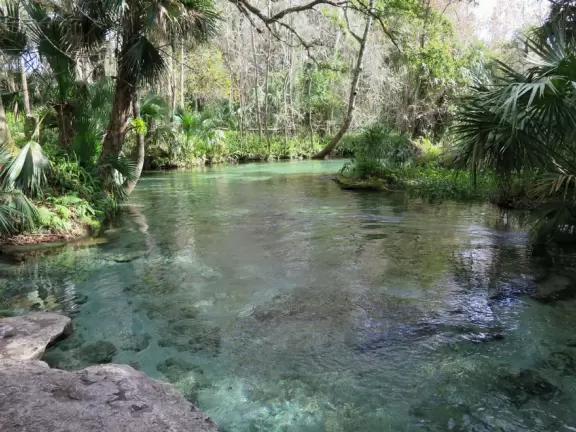 Incredible natural lazy river and swimming pool- crystal clear!