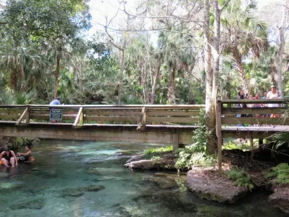 Incredible natural lazy river and swimming pool- crystal clear!