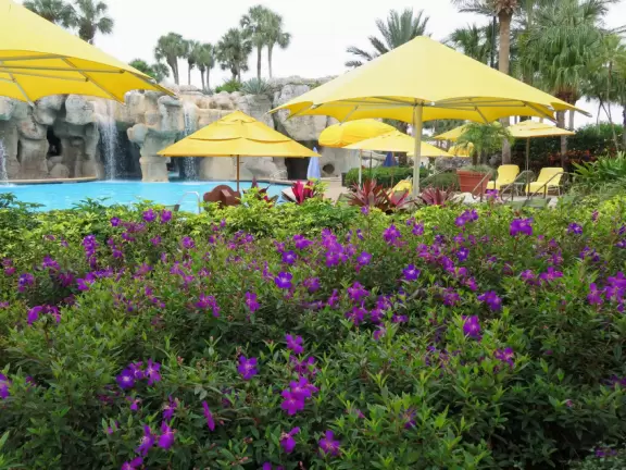 Resort in Orlando that is like a tropical paradise, with enough to do to fill a whole day.