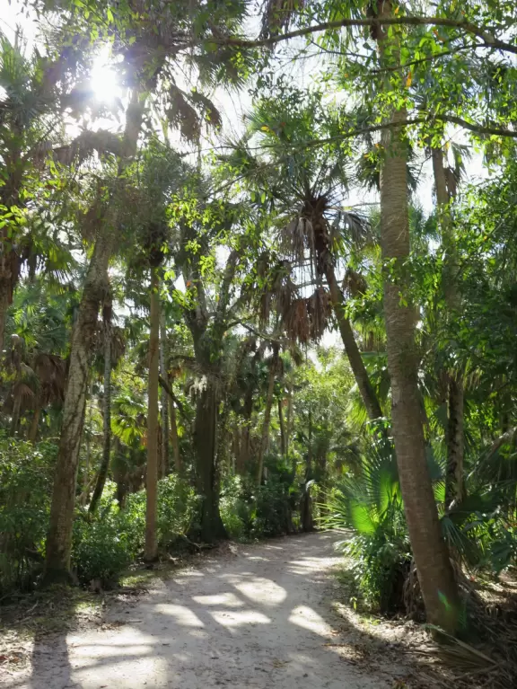 Tropical paradise with amazing trees, soft green grass, and woven huts shading picnic tables with BBQs that line the river, plus bike and kayak rentals. Beware alligators.