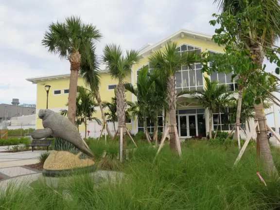 Two-level modern winter manatee viewing center with walkway by the water.
