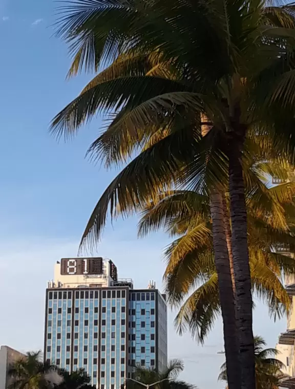 If you're looking for some excitement, head over to Ocean Drive!